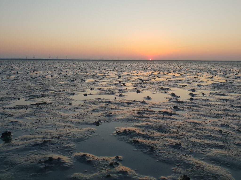Puesta de sol en Mar de Wadden (Mar de Frisia) 