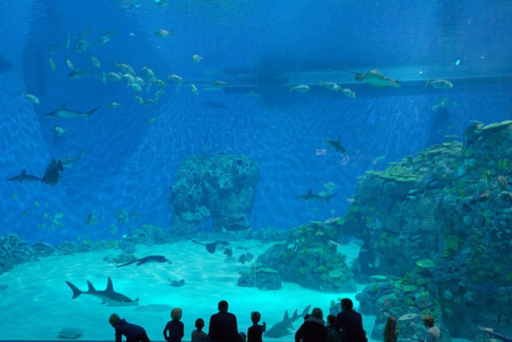 Foto de unos niños viendo el acuario de Den Blå Planet (El Planeta Azul) situado en Copenhague